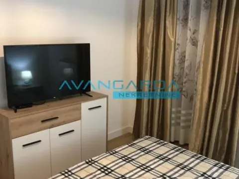 Izdavanje, stan, 46m², Dorćol Sve Podlokacije, Beograd - image 12