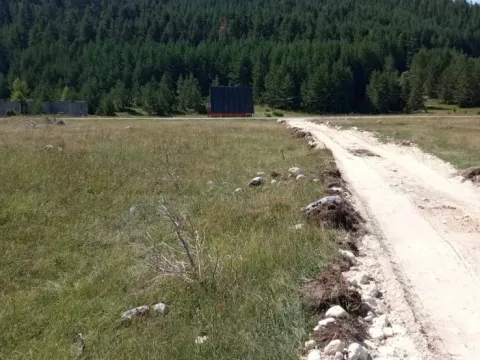 Prodaja, plac, 437m², Žabljak, Crna Gora - image 4