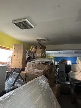 Izdavanje, poslovni prostor, 380m², Borča 1, Borča Sve Podlokacije - image 2