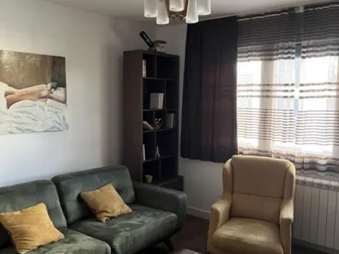 Rent, two bedroom apartment, 50m², Južni Bulevar, Vračar Sve Podlokacije - image 4