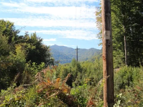 Sale, land lot, 89208m², Padež, Kolašin - image 14