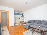 Izdavanje, jednosoban stan, 45m², Stari Aerodrom, Podgorica - image 2