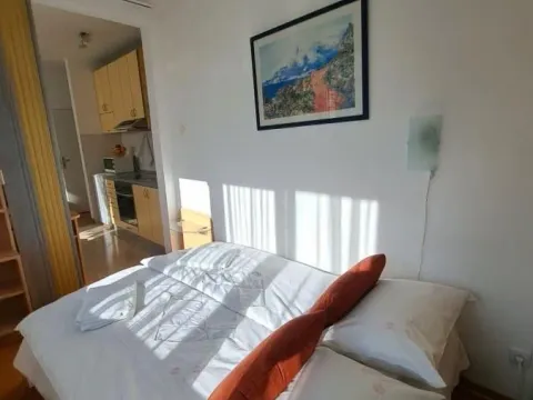 Izdavanje, jednosoban stan, 30m², Savski Venac, Beograd - image 5