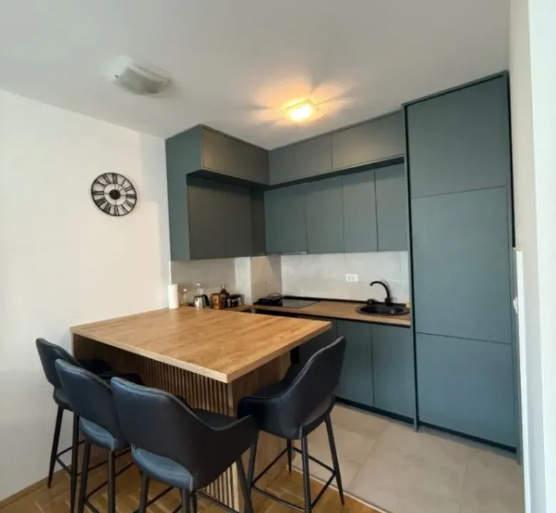 Izdavanje, jednosoban stan, 48m², Stari Aerodrom, Podgorica