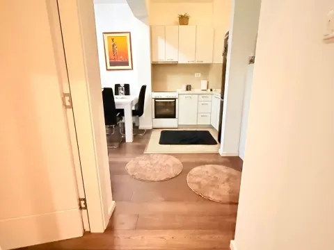 Rent, one bedroom apartment, 48m², Vezirov Most, Podgorica - image 6