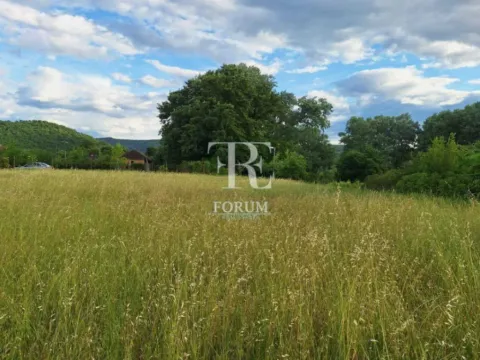 Prodaja, plac, 4200m², Pričelje, Podgorica - image 6