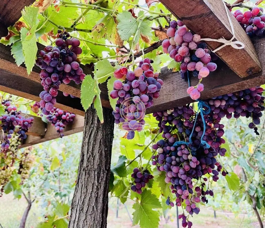 Prodaja, kuća, 57m², Vrnjačka Banja, Srbija
