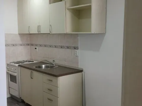 Rent, one bedroom apartment, 40m², Vračar Hram, Vračar Sve Podlokacije - image 8
