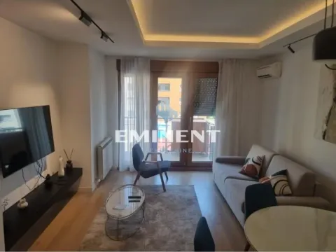 Izdavanje, dvosoban stan, 50m², Novi Beograd Blok 67, Novi Beograd Sve Podlokacije