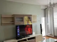 Izdavanje, jednosoban stan, 50m², Grbavica, Novi Sad Sve Podlokacije - image 2