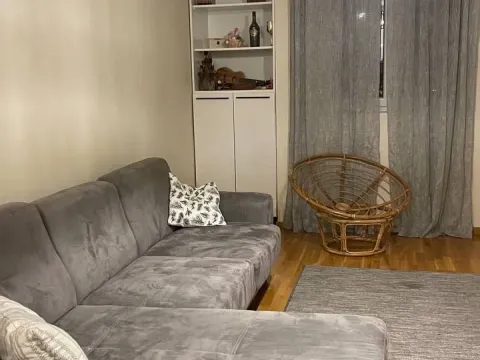 Rent, one bedroom apartment, 49m², Zagorič, Podgorica - image 1