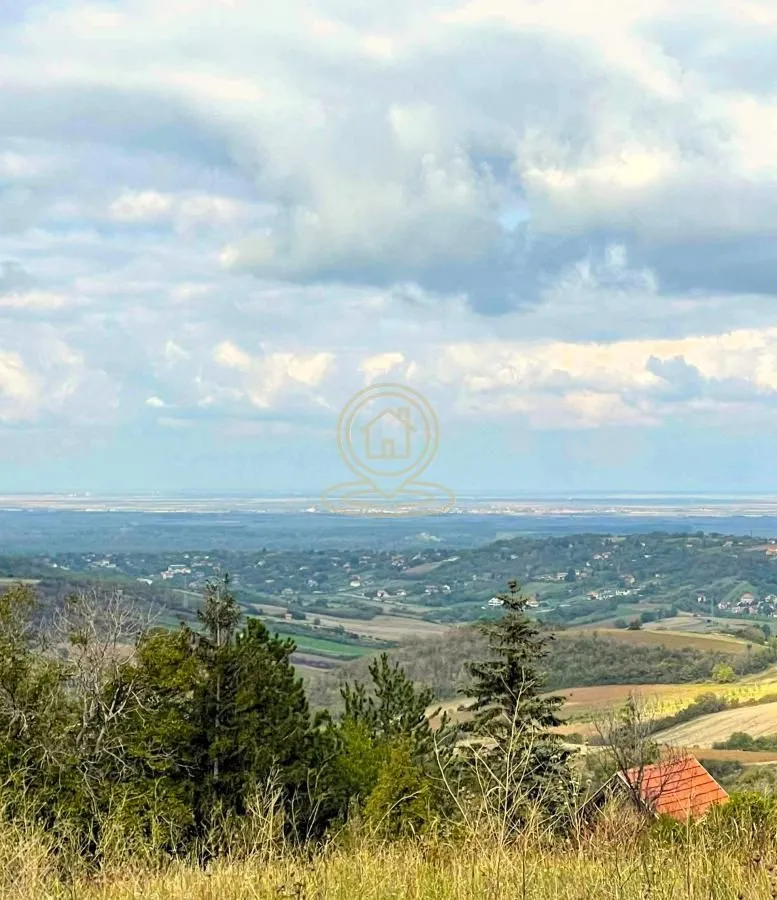 Prodaja, plac, 2500m², Sremska Kamenica, Petrovaradin