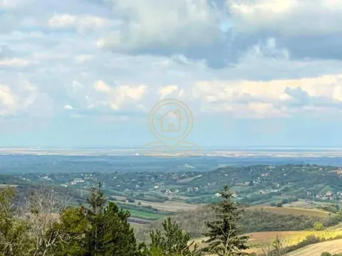 Prodaja, plac, 2500m², Sremska Kamenica, Petrovaradin - image 2