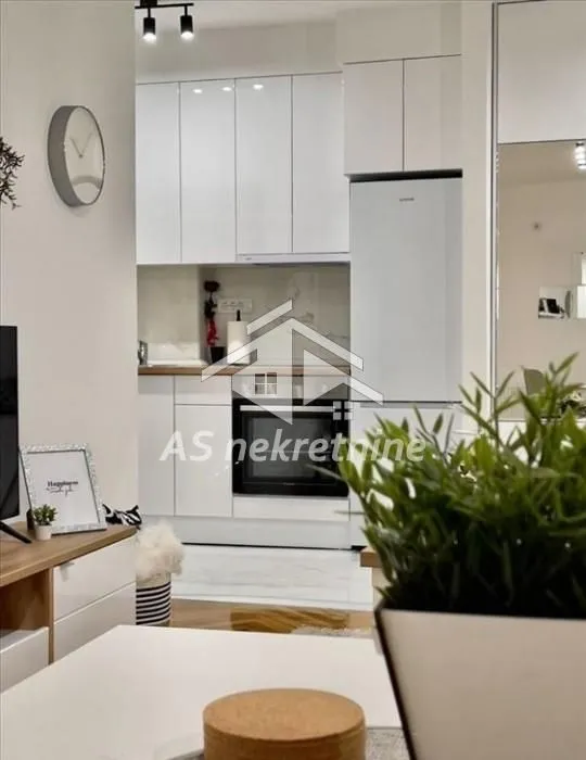 Izdavanje, dvosoban stan, 42m², Vračar Sve Podlokacije, Beograd