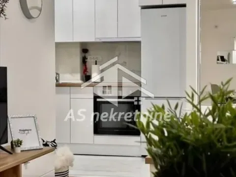Izdavanje, dvosoban stan, 42m², Vračar Sve Podlokacije, Beograd - image 4