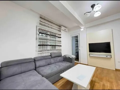 Rent, one bedroom apartment, 45m², Ljubović, Podgorica - image 2