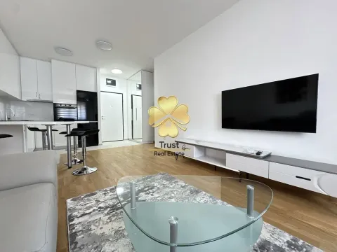 Izdavanje, stan, 50m², Stari Aerodrom, Podgorica - image 4