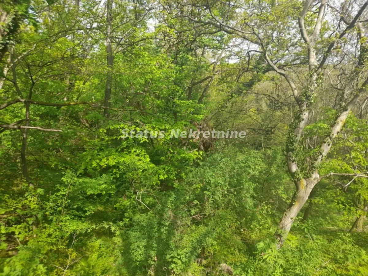 Prodaja, plac, 9283m², Irig, Srbija