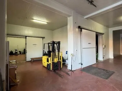 Sale, office space, 1654m², Begaljica, Grocka - image 2