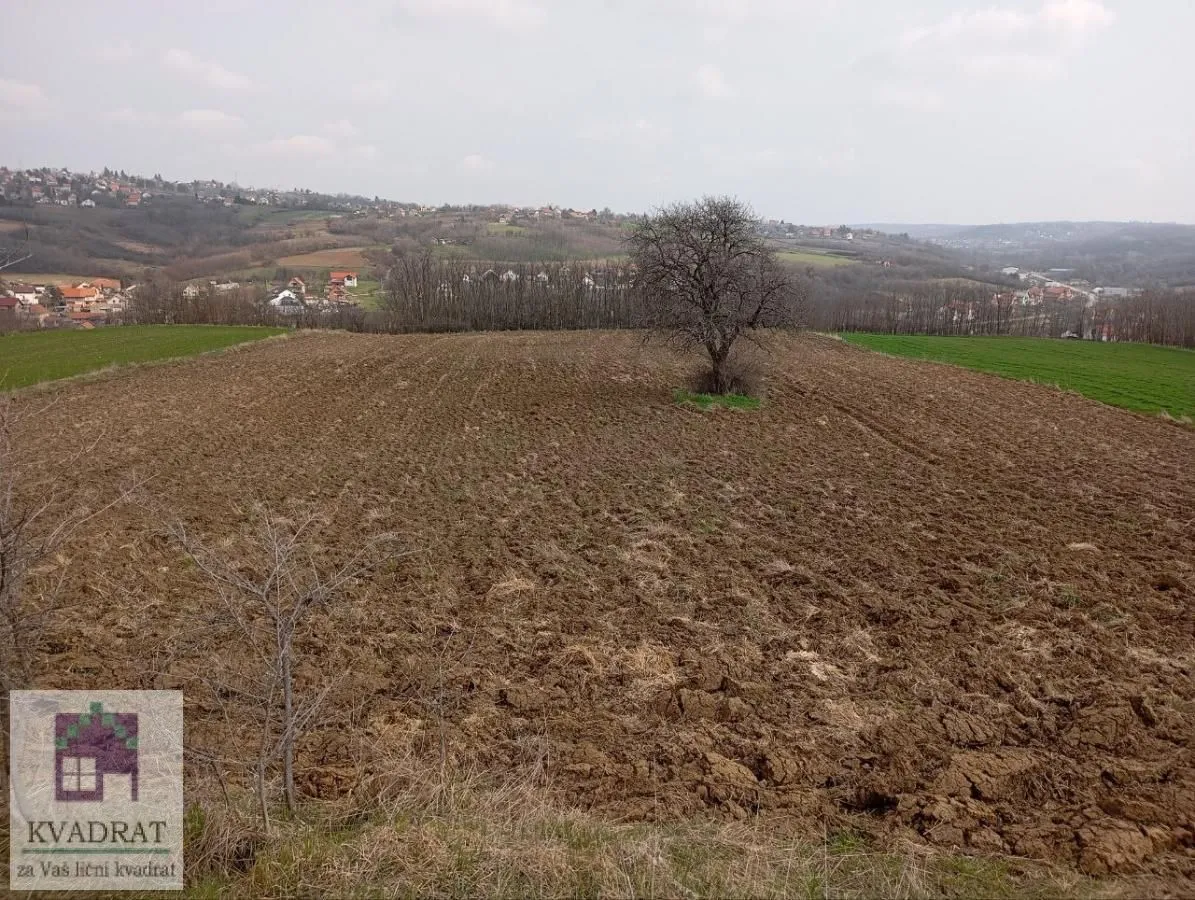 Prodaja, plac, 10800m², Obrenovac, Beograd