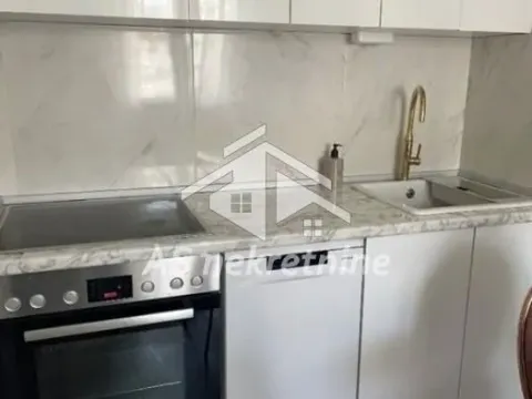 Izdavanje, stan, 39m², Botanička Bašta, Palilula Sve Podlokacije - image 8