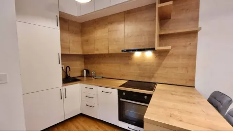 Rent, one bedroom apartment, 45m², Bečići, Budva - image 12