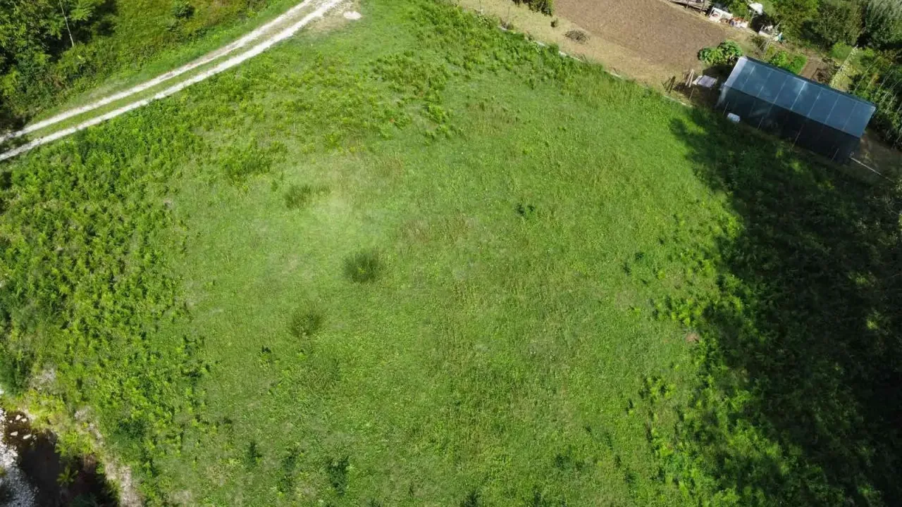 Prodaja, plac, 1677m², Herceg Novi, Crna Gora