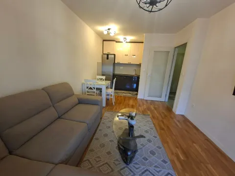 Izdavanje, jednosoban stan, 40m², Pobrežje, Podgorica - image 12