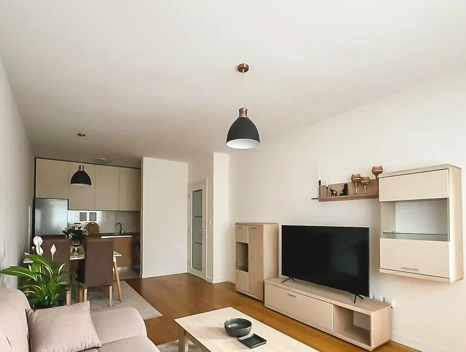 Izdavanje, jednosoban stan, 49m², Central Point, Podgorica