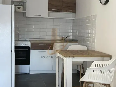 Izdavanje, jednosoban stan, 45m², Tošin bunar, Novi Beograd Sve Podlokacije - image 3