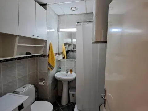 Izdavanje, jednosoban stan, 30m², Savski Venac, Beograd - image 8