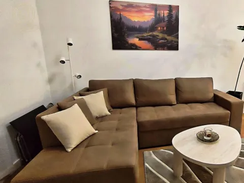 Izdavanje, dvosoban stan, 50m², Bulbulder, Zvezdara Sve Podlokacije - image 5