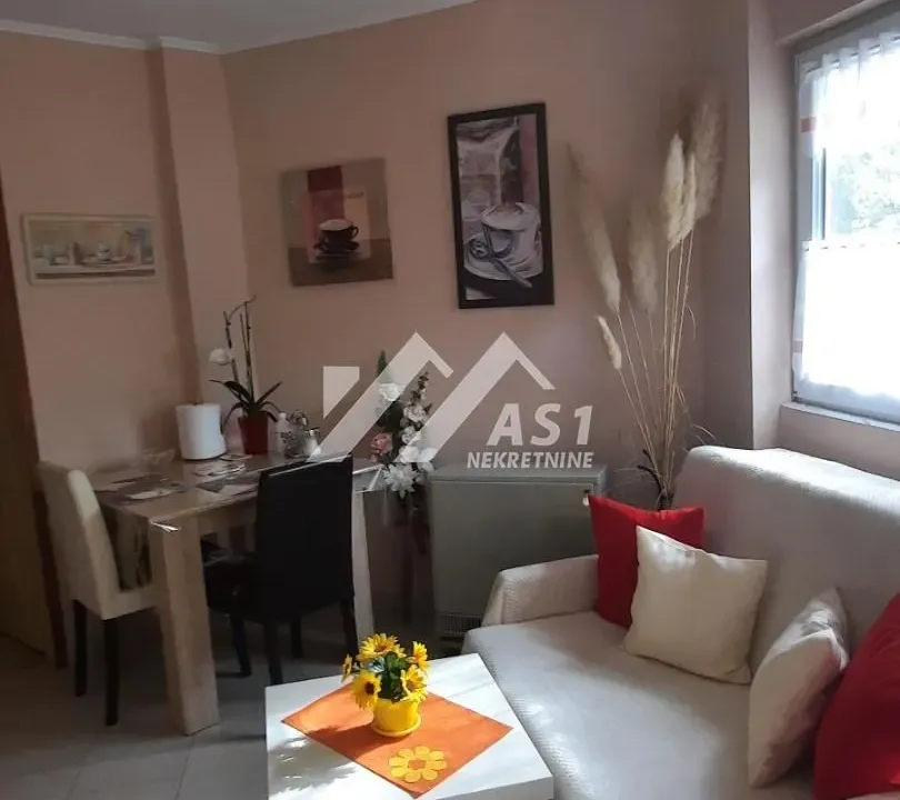 Rent, house, 46m², Ledinci, Petrovaradin