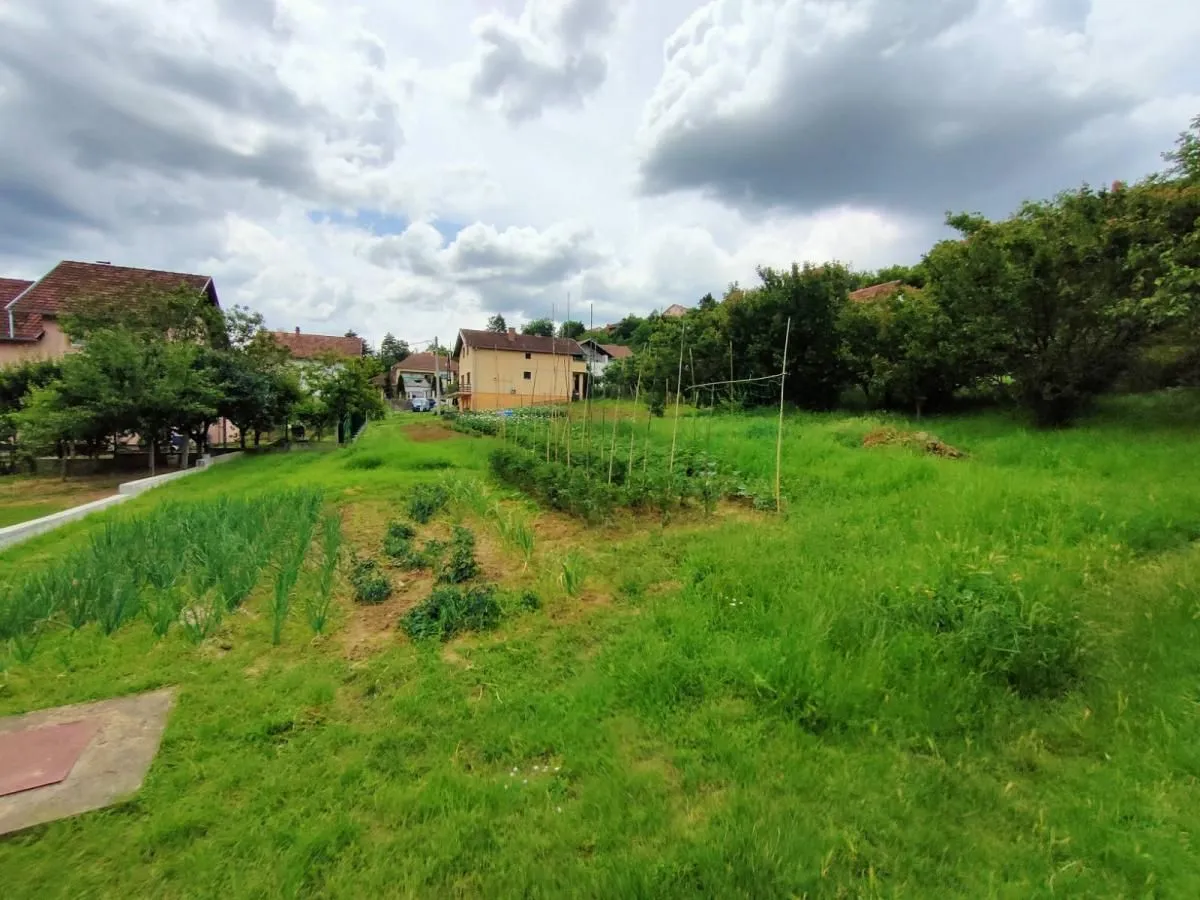 Prodaja, plac, 1000m², Sremska Kamenica, Petrovaradin