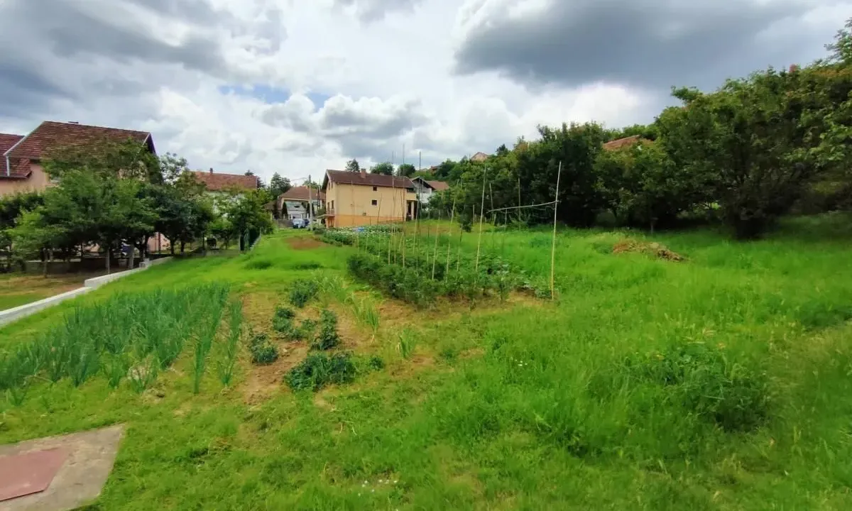 Sale, land lot, 1000m², Sremska Kamenica, Petrovaradin