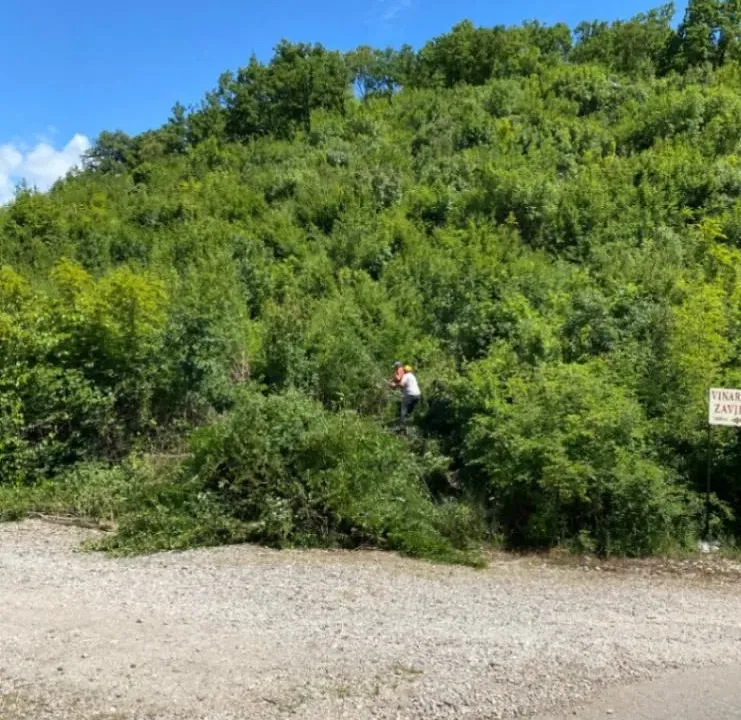 Sale, land lot, 7000m², Sotonići, Bar