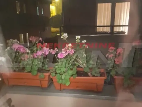 Rent, two bedroom apartment, 42m², Kneževac, Beograd - image 8