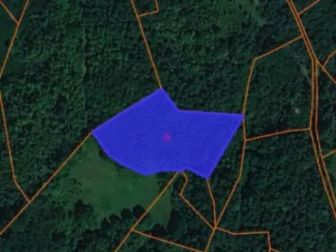 Sale, land lot, 70000m², Trudelj, Gornji Milanovac - image 2