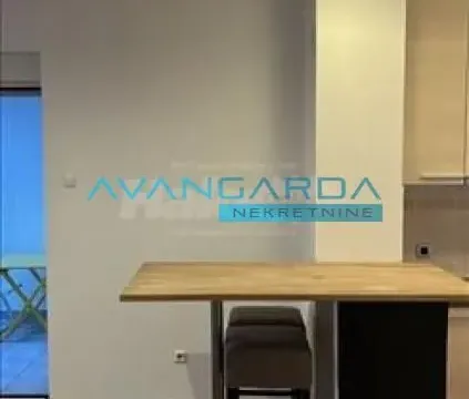 Izdavanje, stan, 45m², Južni Bulevar, Vračar Sve Podlokacije - image 8