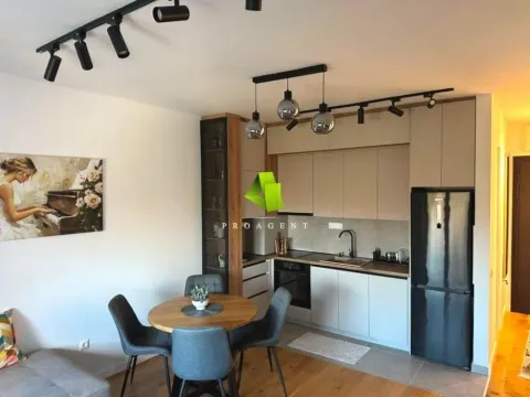 Rent, one bedroom apartment, 48m², Palilula, Niš - image 2