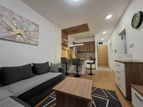 Izdavanje, dvosoban stan, 44m², Centar, Novi Sad - image 2