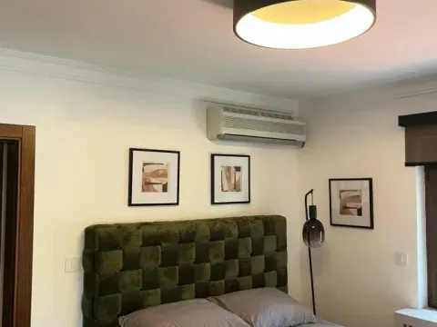 Izdavanje, kuća, 250m², Višnjička Banja, Palilula Sve Podlokacije - image 11