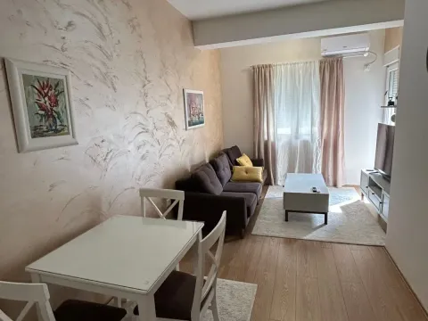 Rent, one bedroom apartment, 45m², Ljubović, Podgorica - image 2