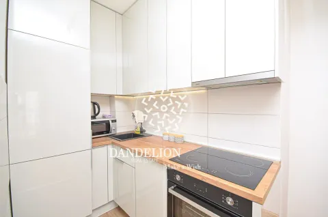 Rent, one bedroom apartment, 59m², Central Point, Podgorica - image 1180