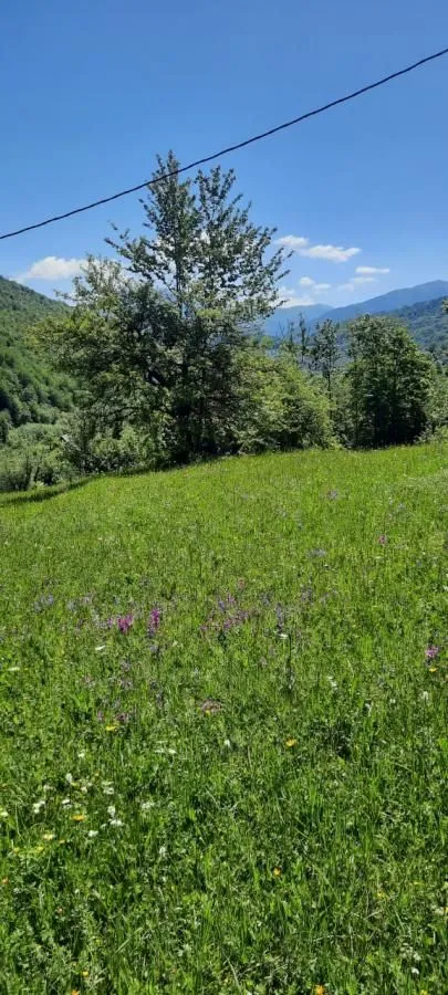 Prodaja, plac, 19200m², Štitarica, Mojkovac