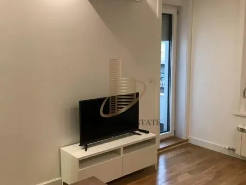 Izdavanje, dvosoban stan, 43m², Južni Bulevar, Vračar Sve Podlokacije - image 4