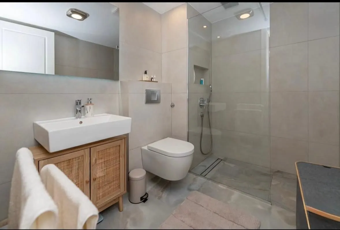 Modernly equipped bathroom with a walk-in shower, washbasin, and toilet.