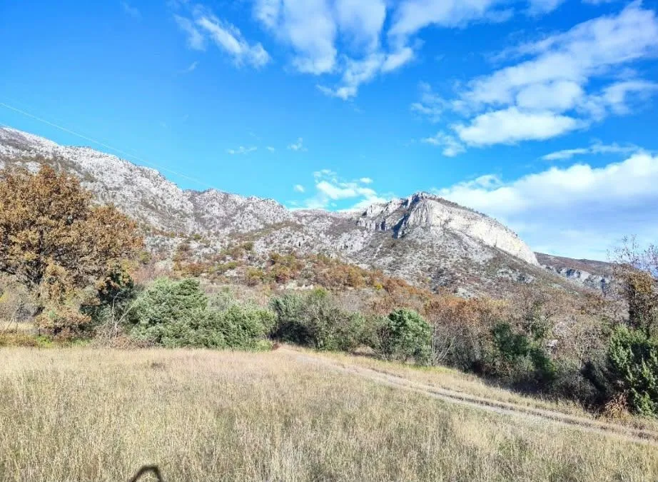 Prodaja, plac, 148950m², Bioče, Podgorica