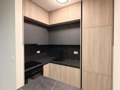 Izdavanje, jednosoban stan, 47m², Central Point, Podgorica - image 12