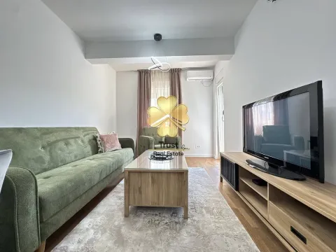 Izdavanje, jednosoban stan, 45m², Zagorič, Podgorica